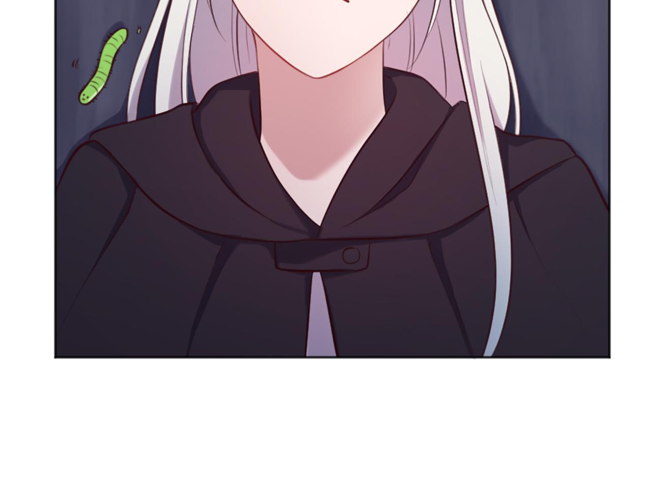 第5话 寻找魔法书(1/4)-第6话