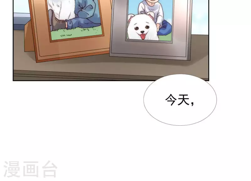 第43话 我不需要你的可怜(1/2)-第42话