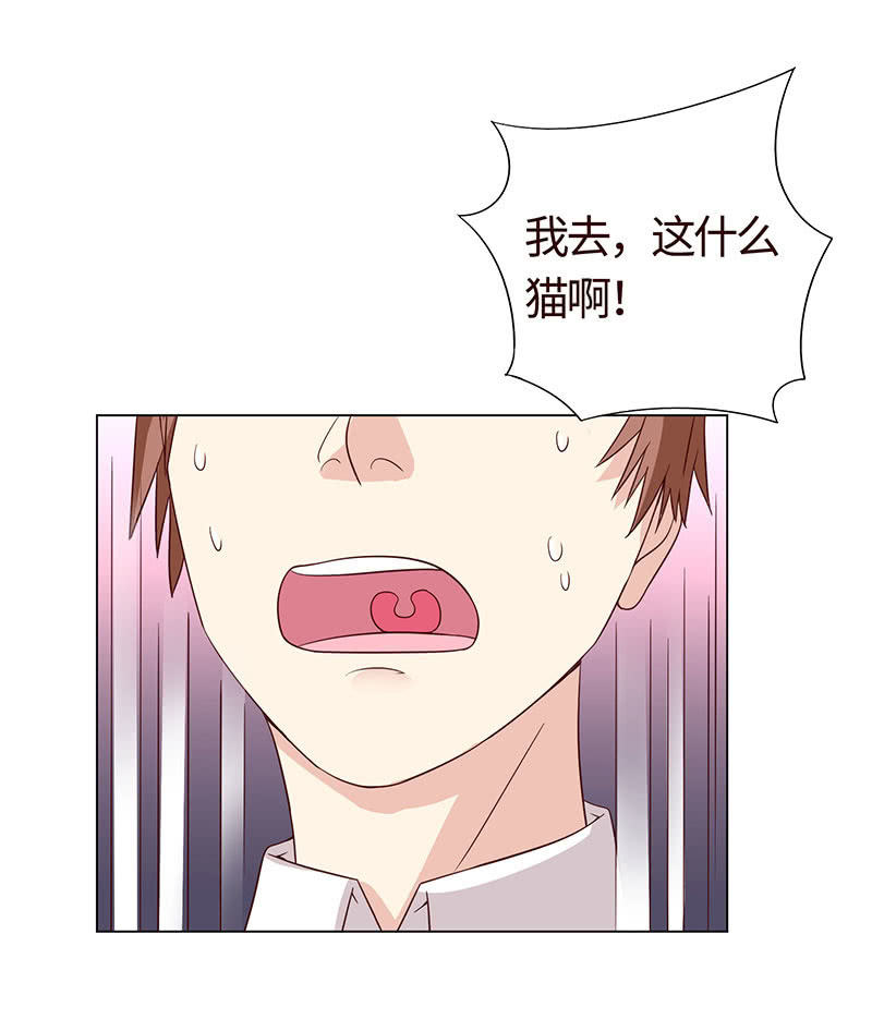 引蛇出洞(1/2)-第116话