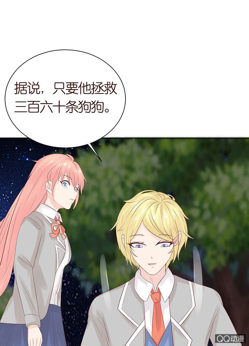 久别的重逢(1/2)-第46话
