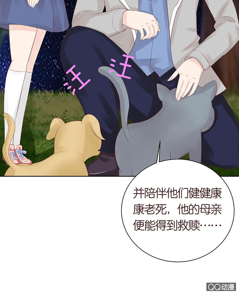 久别的重逢(1/2)-第46话