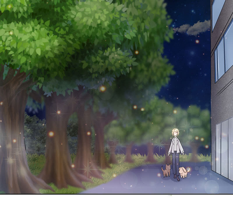 千载不相负(1/2)-第52话