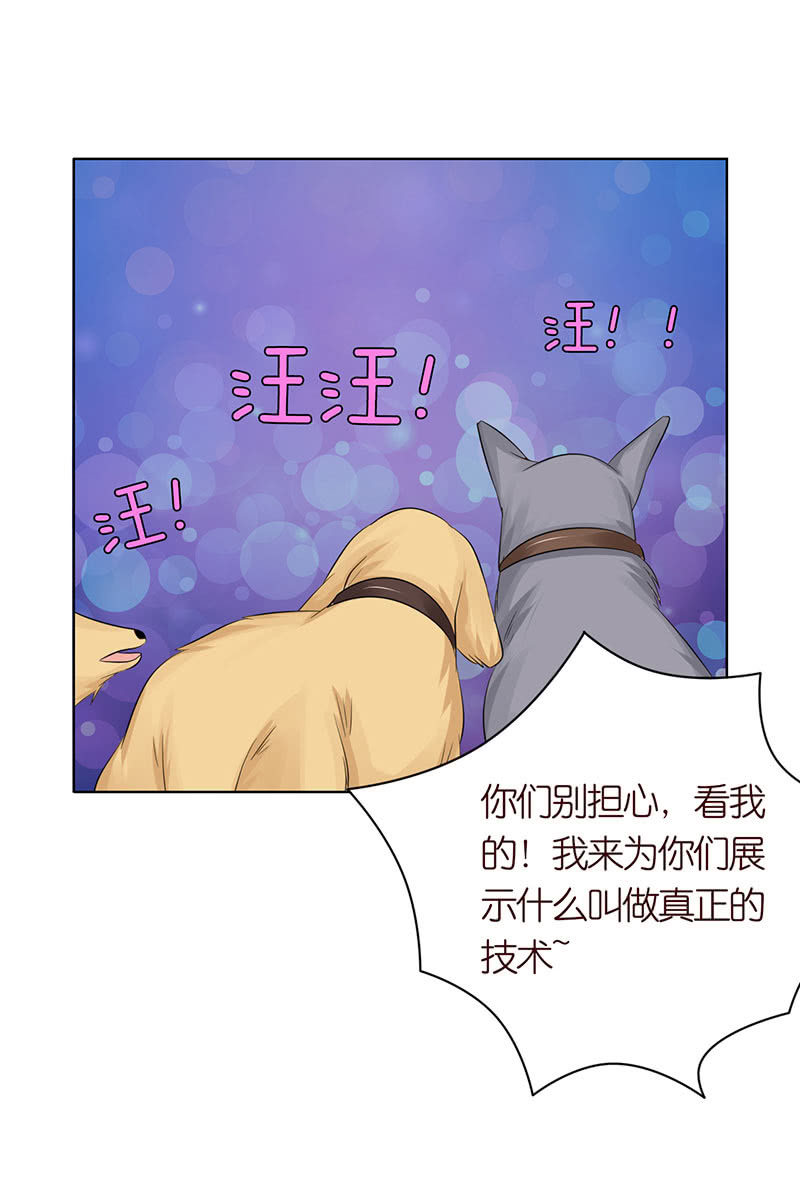 千载不相负(1/2)-第52话