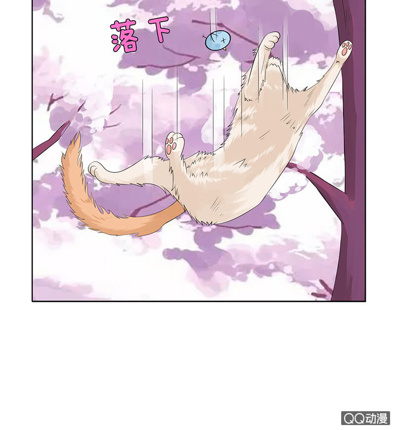 神秘的蛋蛋(1/2)-第54话