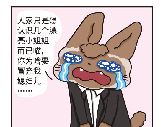 婚礼篇系列三-第14话