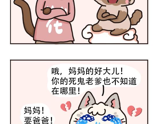 猫崽篇系列一-第18话