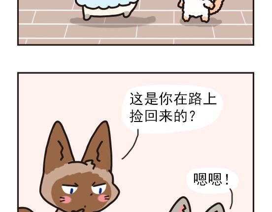 猫崽篇系列一-第18话
