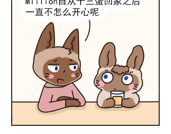 猫崽篇系列三-第20话