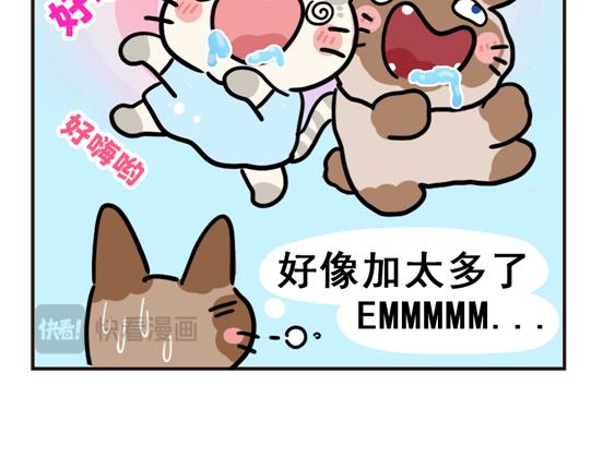 做饭篇-第28话
