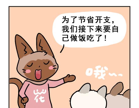 做饭篇-第28话