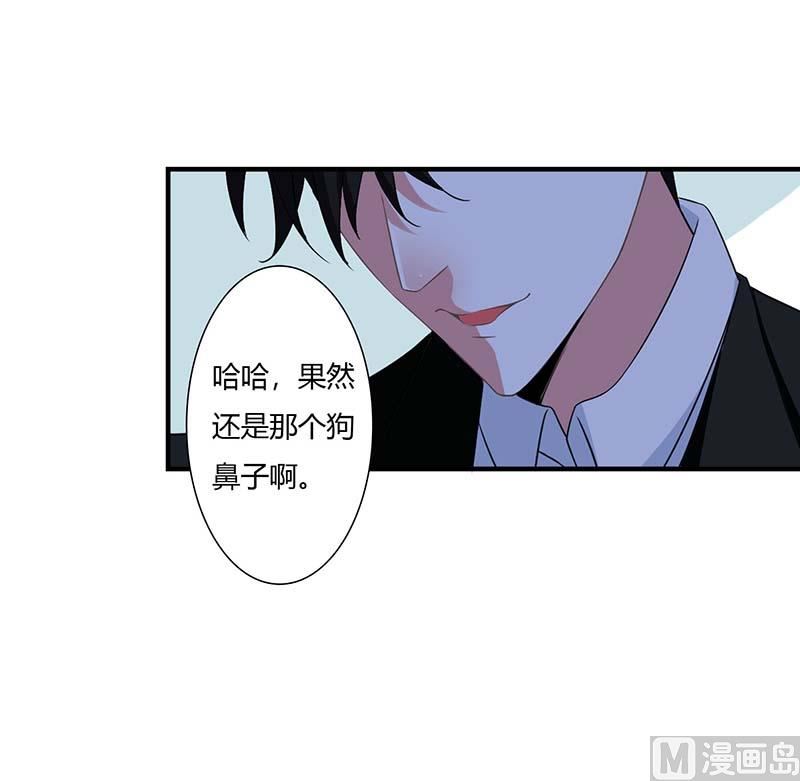 第46话 生日快乐-第46话