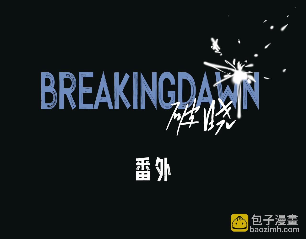 🍵BreakingDawn破晓 番外 叶星，你愿意去孤屿吗？ 第4页