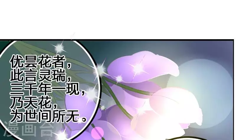 第8话 原来你是这样的不凡(1/2)-第8话