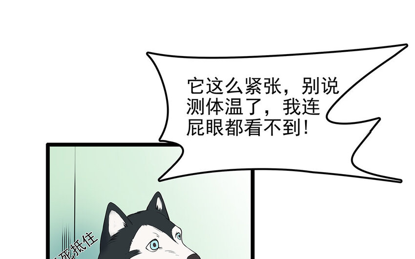 12 第13话 雪橇三傻，名不虚传(1/2)-第12话