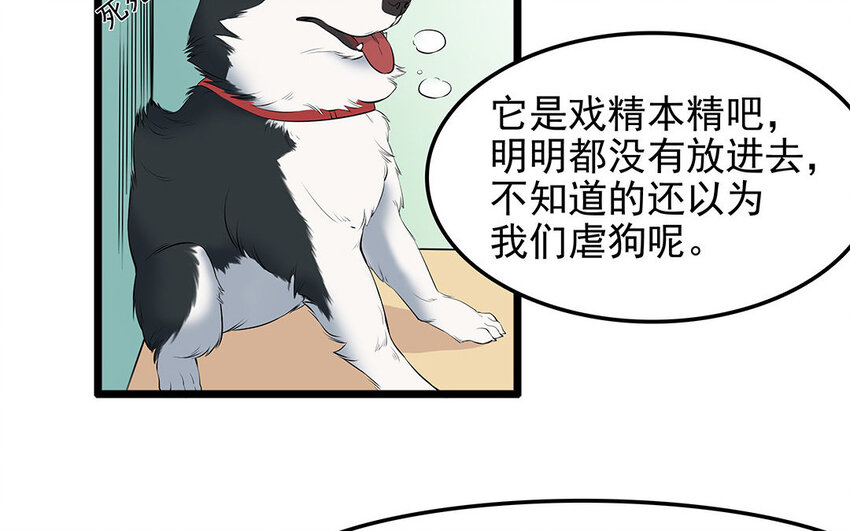 12 第13话 雪橇三傻，名不虚传(1/2)-第12话