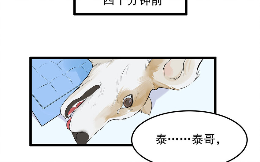 20 第21话 你不配当兽医！(1/2)-第20话