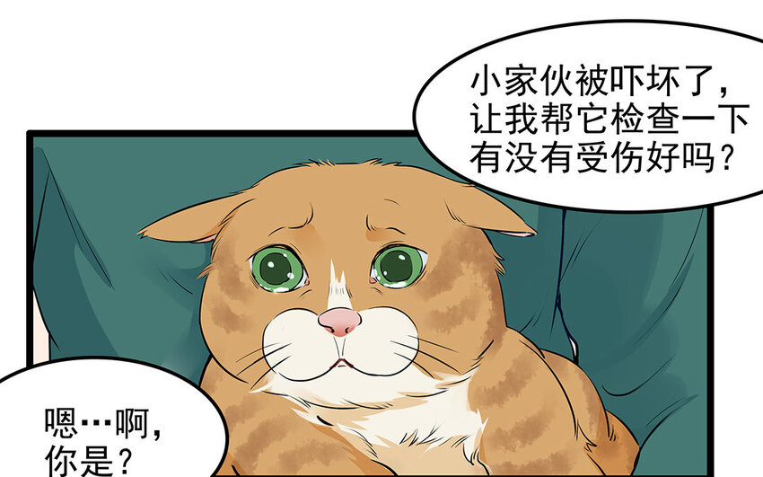 26 第27话 人情味(1/2)-第26话