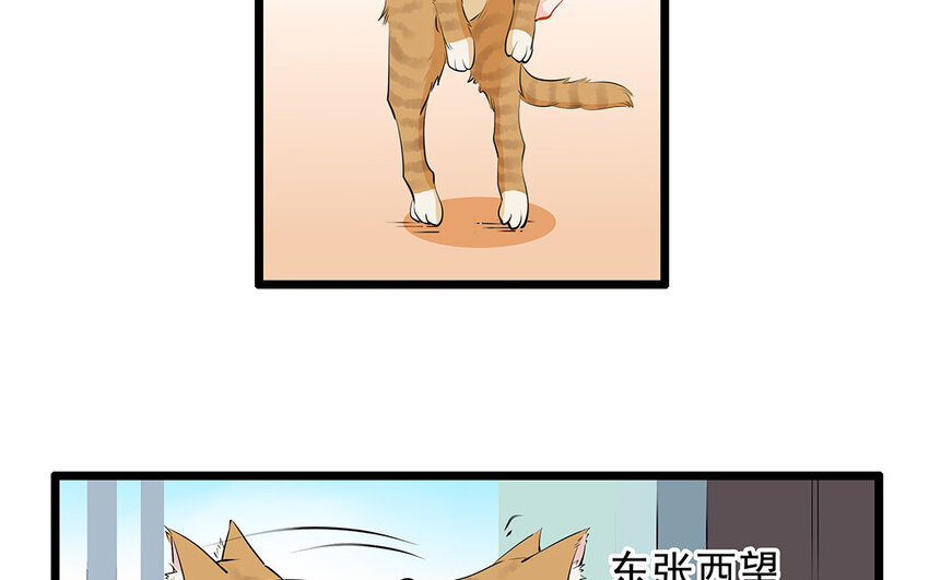 28 第29话 守丧症-第28话