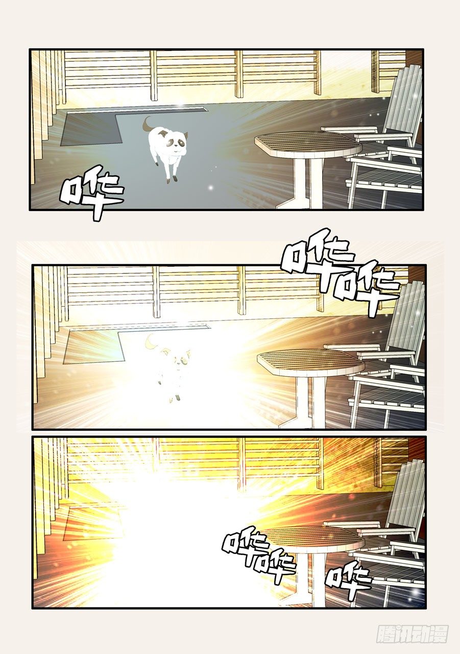 370蝶蛹-第370话