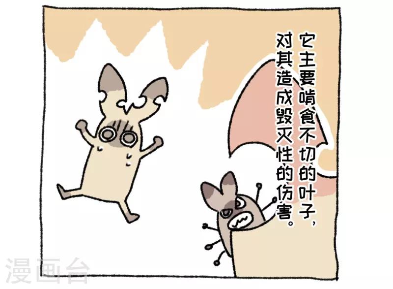 第36话 关于不切-第36话