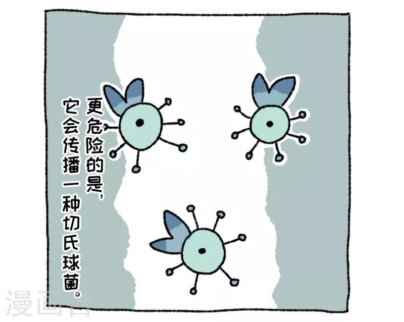 第36话 关于不切-第36话