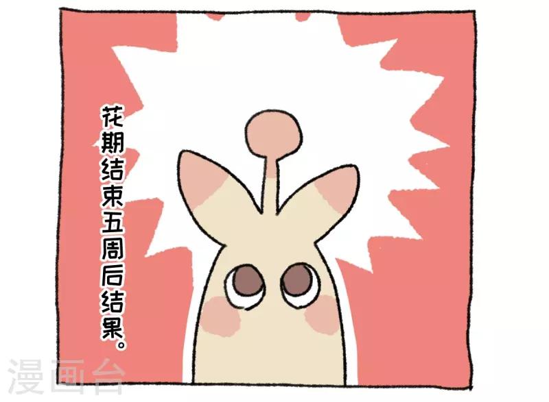 第36话 关于不切-第36话