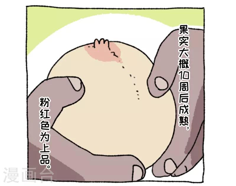 第36话 关于不切-第36话