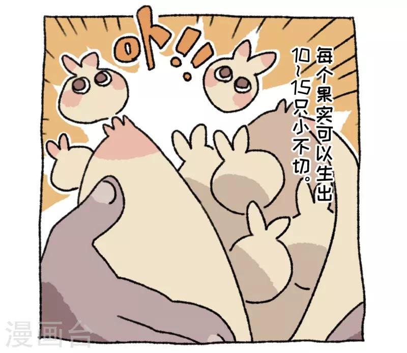 第36话 关于不切-第36话
