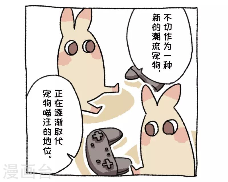 第36话 关于不切-第36话