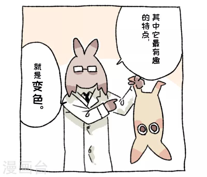 第36话 关于不切-第36话