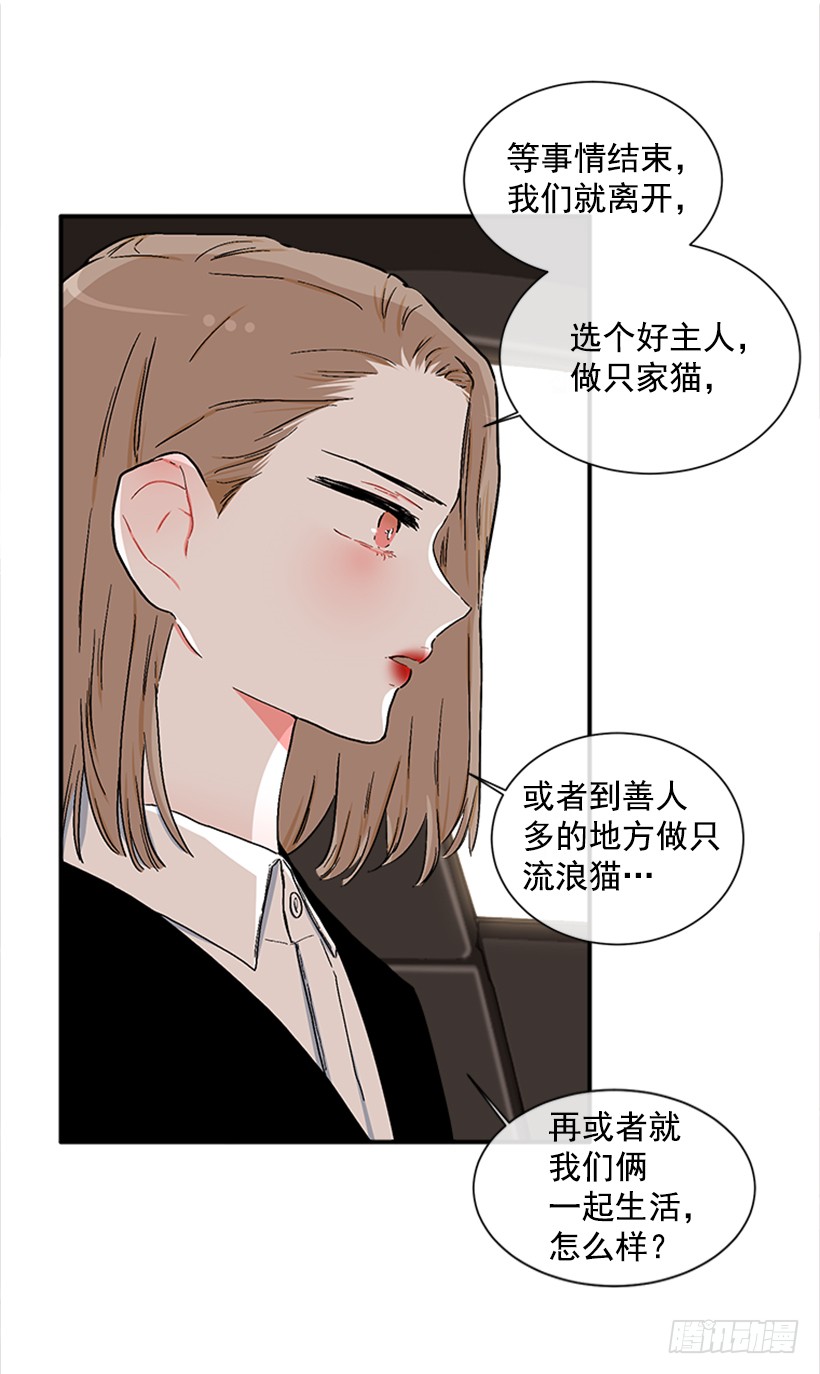 130.家猫和流浪猫-第130话