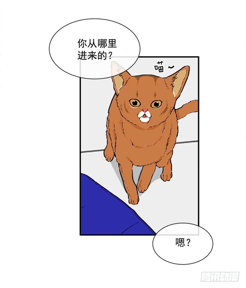 137.大喵-第136话