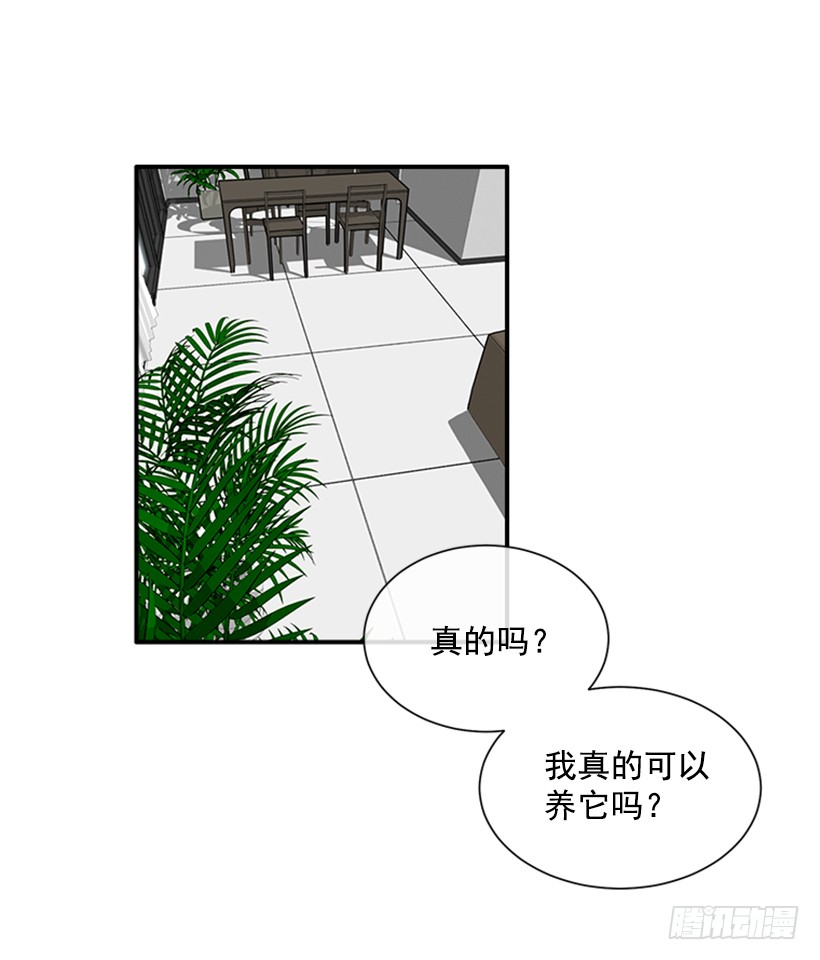 137.大喵-第136话