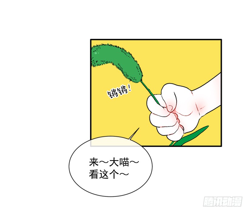 137.大喵-第136话