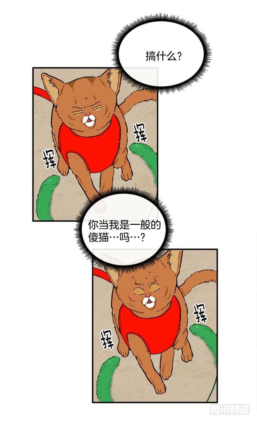 137.大喵-第136话