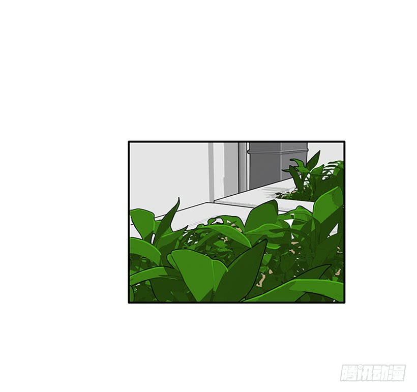 我的女王-第64话