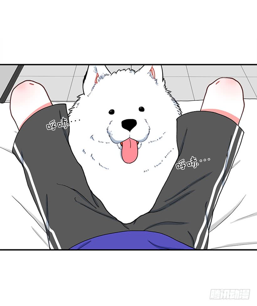 嘿嘿嘿&hellip;-第74话