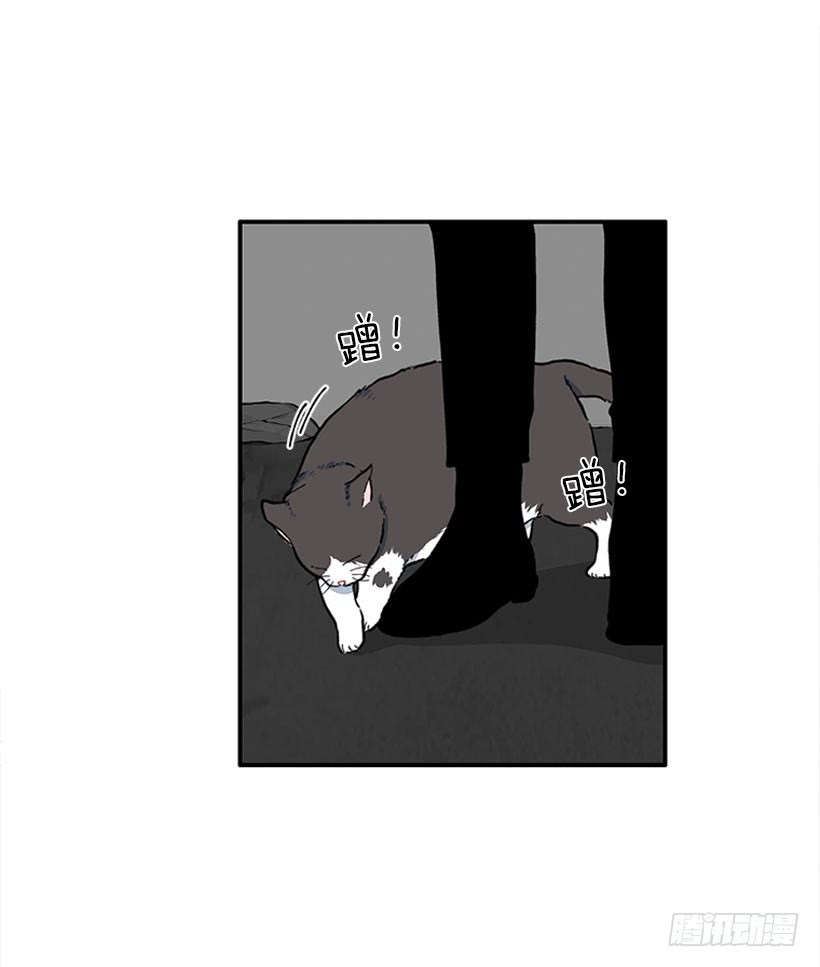 男朋友-第88话