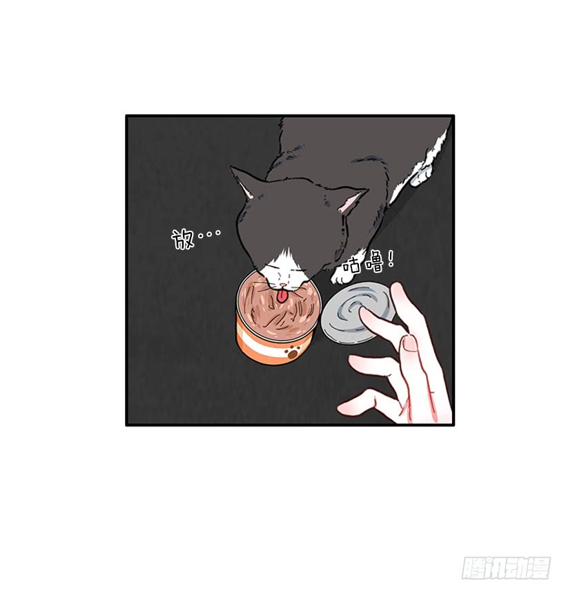 男朋友-第88话