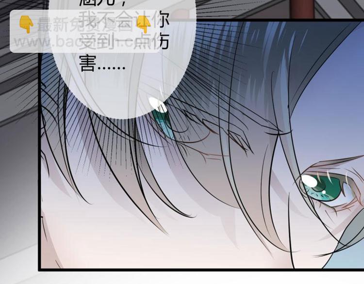 🍵不识桃花只识君 第11话 影卫 第29页