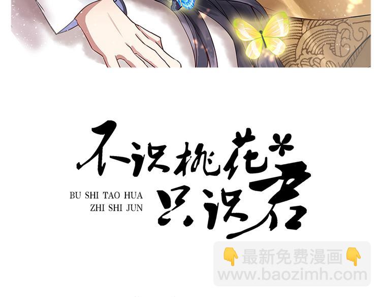 🍵不识桃花只识君 第257话 本王心意已决！ 第2页