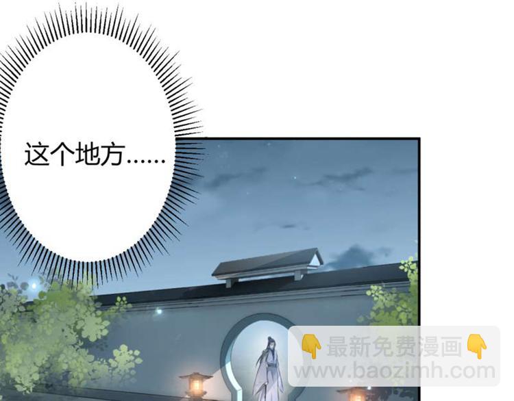 🍵不识桃花只识君 第49话 沉痛的回忆 第47页