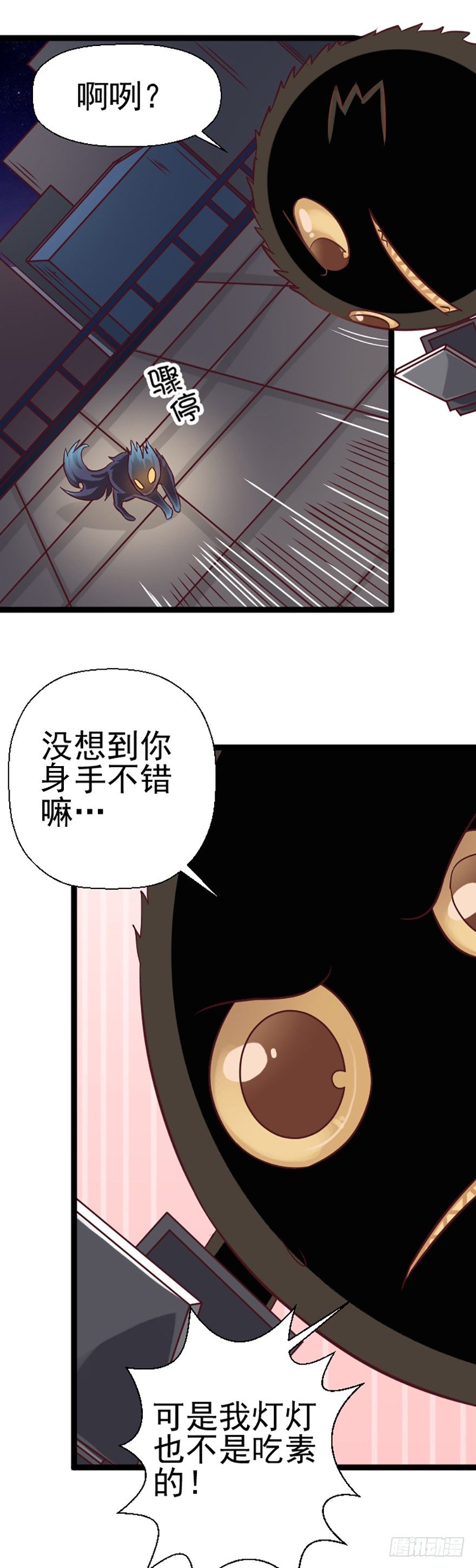 真正的窃贼-第38话