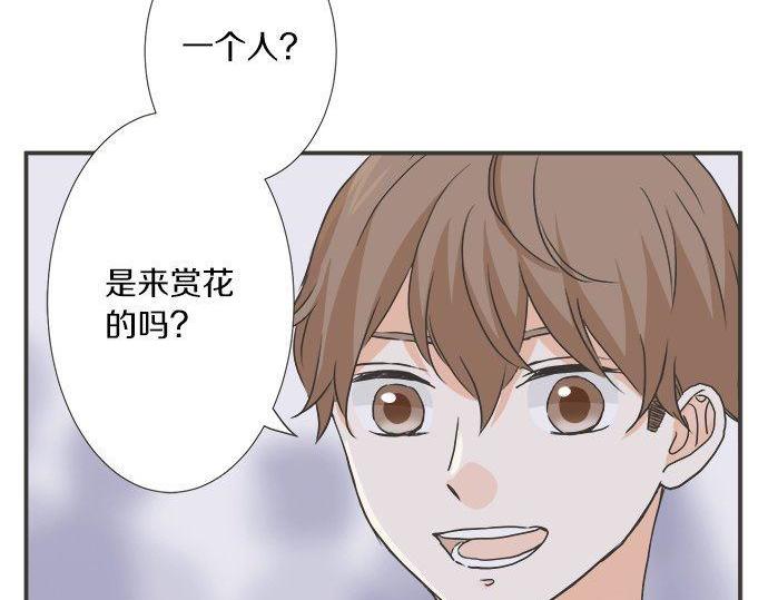 第196话 那时候的&hellip;&hellip;！！(1/2)-第124话
