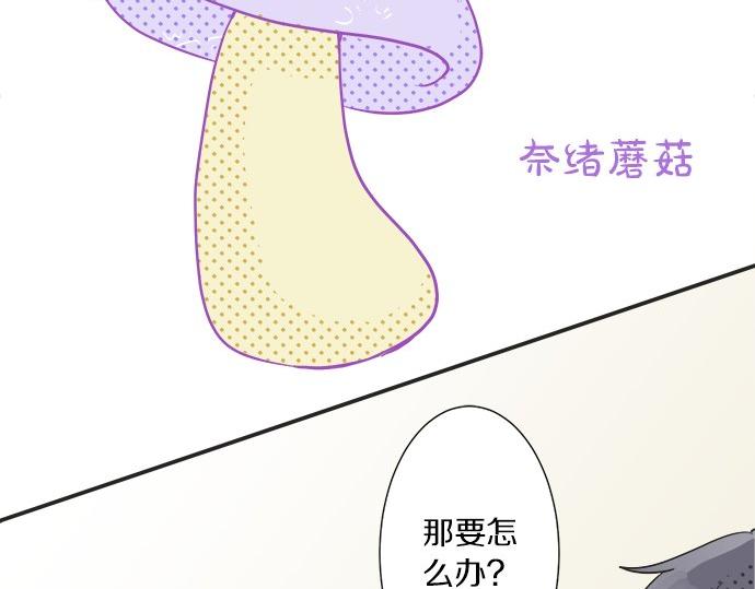 第28话 才贺城攻略计划(1/2)-第28话