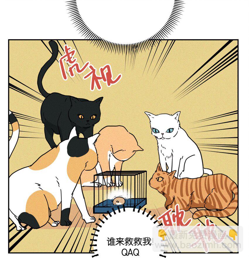 004 现在就签约！(1/2)-第4话