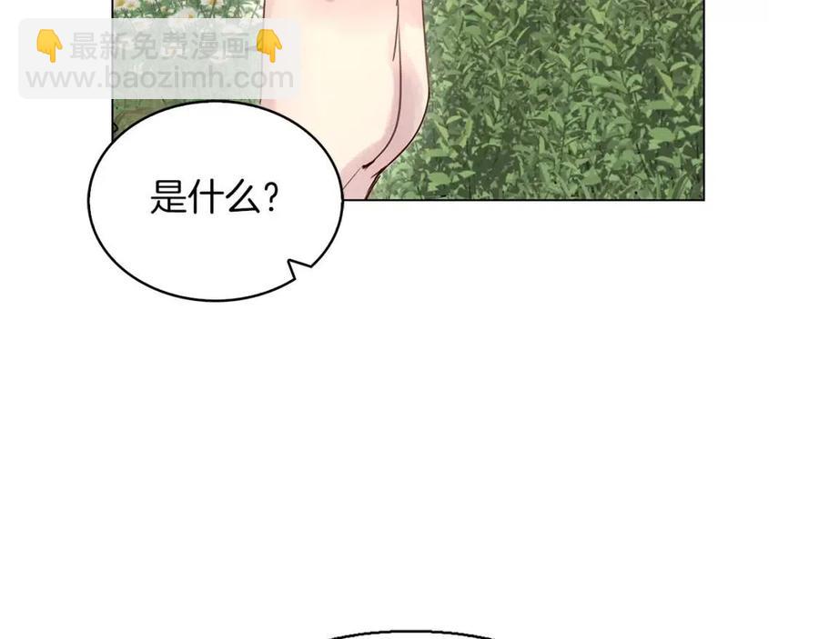 🍵不要小看女配角！ 番外10 贾尼斯的老套路4 第31页