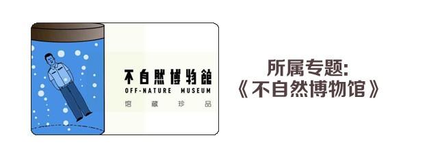 同学会-第4话