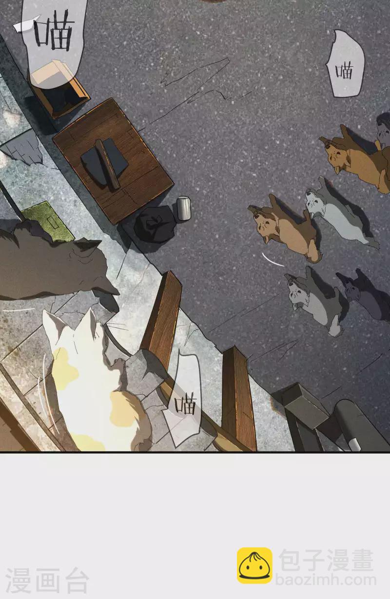 第13话 猫狗行凶(1/2)-第16话