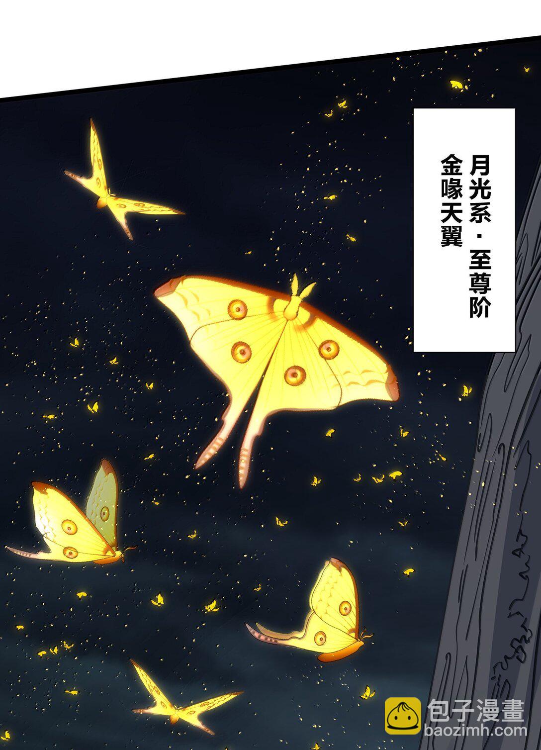81 奇迹再现(1/2)-第82话